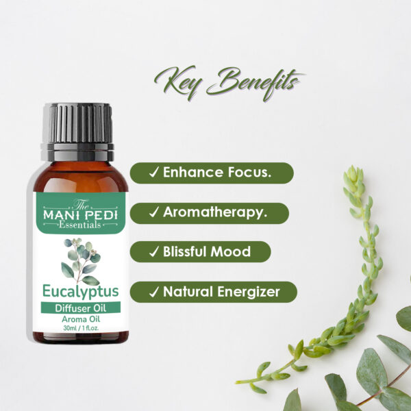 Eucalyptus Diffuser Oil | Strong & Long-Lasting Aroma Oil | Natural Homely Fragrance Diffuser Oil | diffuser essential oil - 30ml - Image 2