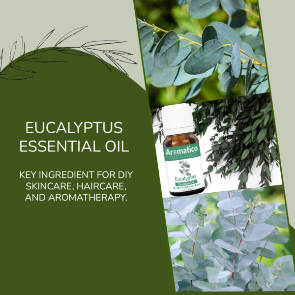 Eucalyptus Essential Oil pure & Natural for Helps Breathe Easier and Boost Your Immune System Naturally - 15ml - Image 5