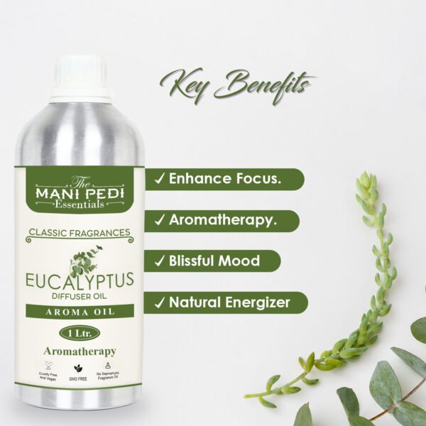Eucalyptus Diffuser Oil with Long-Lasting Aroma. Notes of Wood & Resin, Relaxes Body & Mind. Ideal for Aromatherapy, Diffusers & Air Purifiers - 1 Liter (1000 ml) - Image 2