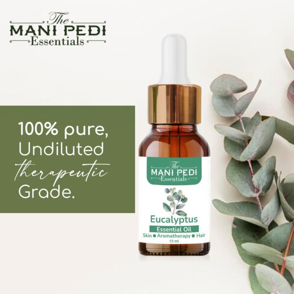 Eucalyptus Essential Oil pure & Natural for Helps Breathe Easier and Boost Your Immune System Naturally - 15ml - Image 2