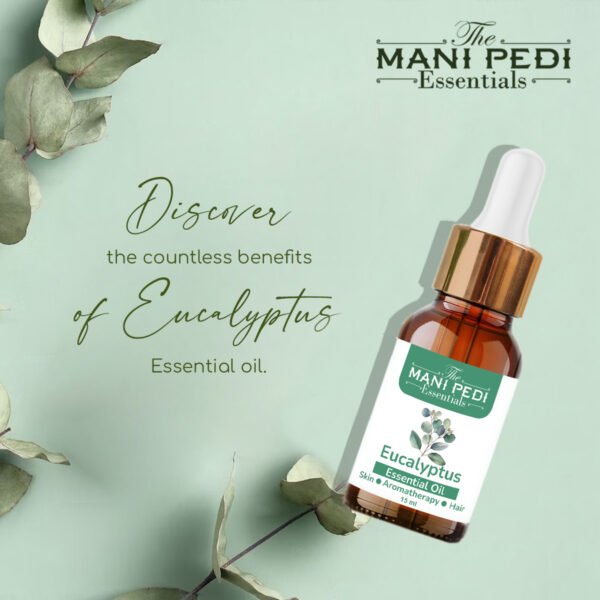 Eucalyptus Essential Oil pure & Natural for Helps Breathe Easier and Boost Your Immune System Naturally - 15ml - Image 4